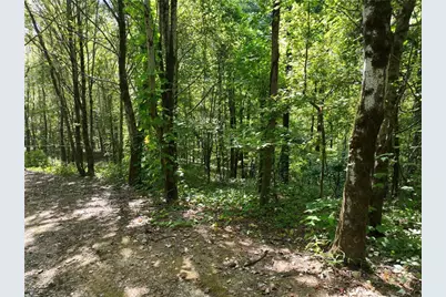 46 Highlands Parkway, Jasper, GA 30143 - Photo 12