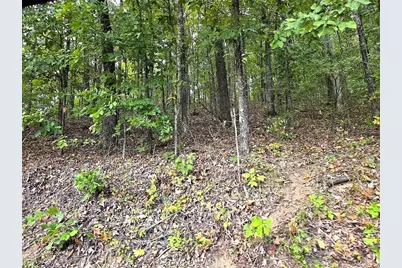 0 Big Oak Tree Road, Adairsville, GA 30103 - Photo 4