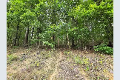 0 Big Oak Tree Road, Adairsville, GA 30103 - Photo 10