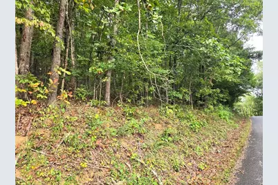 0 Big Oak Tree Road, Adairsville, GA 30103 - Photo 6