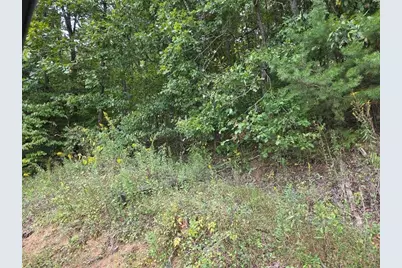 0 Big Oak Tree Road, Adairsville, GA 30103 - Photo 8