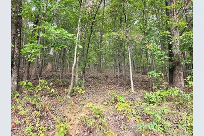 0 Big Oak Tree Road, Adairsville, GA 30103 - Photo 2