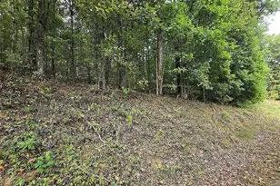 0 Big Oak Tree Rd, Adairsville, GA 30103 - Photo 1