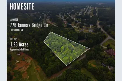 776 Tanners Bridge Circle, Bethlehem, GA 30620 - Photo 2