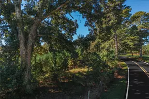 0 Wallace Tatum Rd, Cumming, GA 30028 - Photo 24