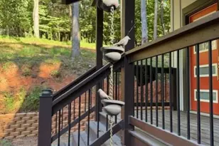 55 Elmwood Cir, Ellijay, GA 30540 - Photo 6