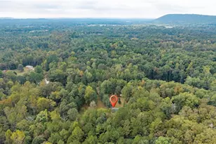309 Russell Hill Estates Dr NW, Sugar Valley, GA 30746 - Photo 40