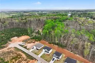 219 Thunder Valley, Dawsonville, GA 30534 - Photo 50