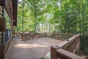 157 Sunrise Ln, Blue Ridge, GA 30513 - Photo 28