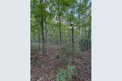 [Address not provided], Cataula, GA 31808 - Photo 4