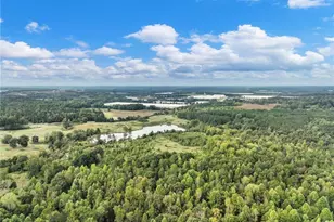433 Emily Forest Way, Pendergrass, GA 30567 - Photo 58