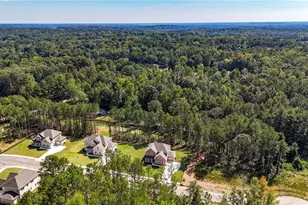 113 Southview Dr, Ellenwood, GA 30294 - Photo 42