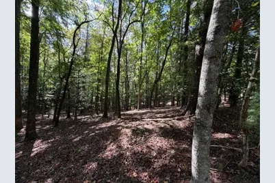 556 Satsuma Court S, Ellijay, GA 30540 - Photo 8
