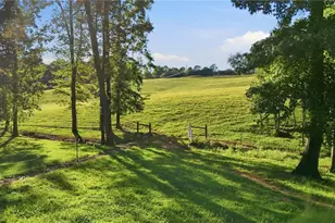 1133 Ricky West Rd, Cleveland, GA 30528 - Photo 60