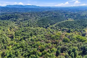 108 Charlottes Web Ln, Ellijay, GA 30540 - Photo 6