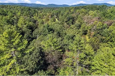 108 Charlottes Web Lane, Ellijay, GA 30540 - Photo 22