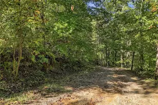 108 Charlottes Web Ln, Ellijay, GA 30540 - Photo 24