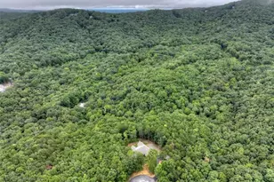 528 Cloudland Dr, Ellijay, GA 30536 - Photo 64