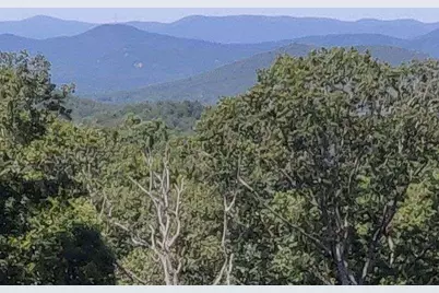 14.06 Old Burnt Mountain Road, Ellijay, GA 30536 - Photo 4