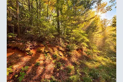 14.06 Old Burnt Mountain Road, Ellijay, GA 30536 - Photo 24