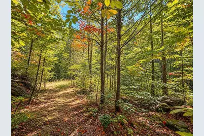 14.06 Old Burnt Mountain Road, Ellijay, GA 30536 - Photo 22
