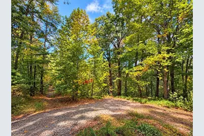 14.06 Old Burnt Mountain Road, Ellijay, GA 30536 - Photo 20