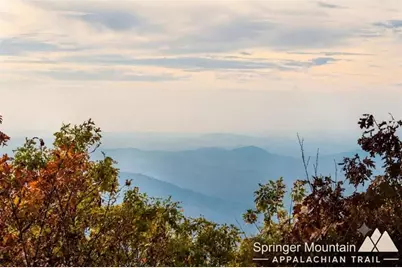14.06 Old Burnt Mountain Road, Ellijay, GA 30536 - Photo 54