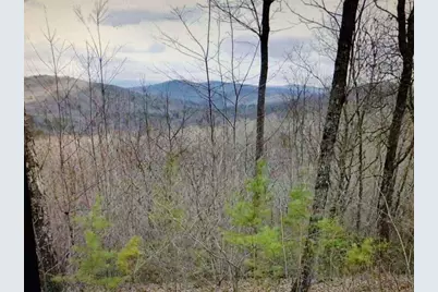 14.06 Old Burnt Mountain Road, Ellijay, GA 30536 - Photo 18