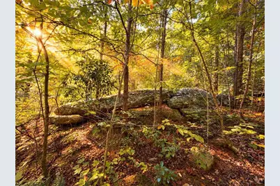 14.06 Old Burnt Mountain Road, Ellijay, GA 30536 - Photo 30