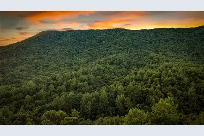 241 Wilderness Way, Ellijay, GA 30536 - Photo 8