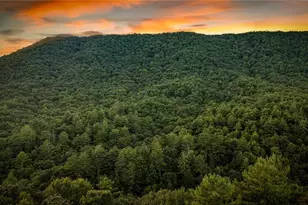 241 Wilderness Way, Ellijay, GA 30536 - Photo 8