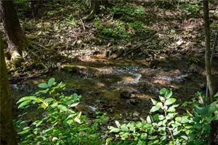 241 Wilderness Way, Ellijay, GA 30536 - Photo 110