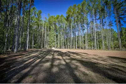 35 Mattie Court, Mansfield, GA 30055 - Photo 6