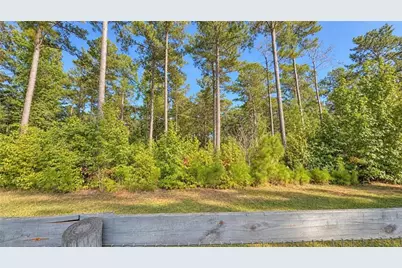 79 Indian Trail, Senoia, GA 30276 - Photo 32
