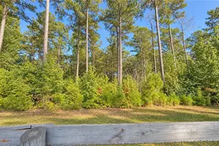79 Indian Trail, Senoia, GA 30276 - Photo 32