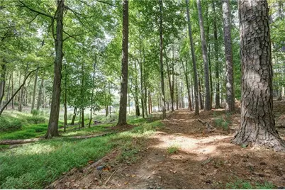 6090 Shadburn Ferry Road, Buford, GA 30518 - Photo 30