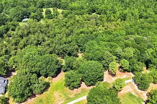 169 Silver Dollar Rd, Barnesville, GA 30204 - Photo 66