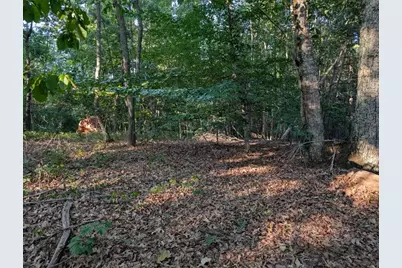 0 Jay Green Road, Canton, GA 30115 - Photo 10