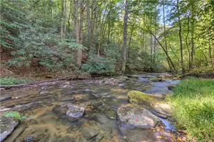 1918 Big Creek Rd, Cherry Log, GA 30522 - Photo 66