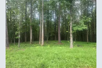 6155 Little Ridge Road, Acworth, GA 30102 - Photo 4