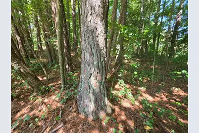 5170 Hurt Bridge Road, Cumming, GA 30028 - Photo 26