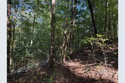 J349 Mountain View Court, Ellijay, GA 30536 - Photo 4