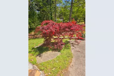 3412 Springdale Forrest Avenue, Gainesville, GA 30506 - Photo 4