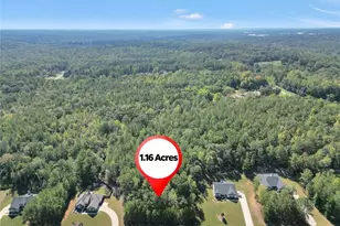 60 Hawthorn Ln, Covington, GA 30014 - Photo 1