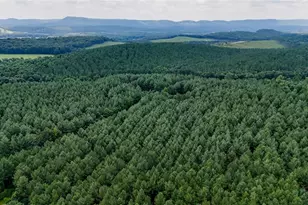 0 Tract 5 Back Valley Rd, Lyerly, GA 30730 - Photo 1