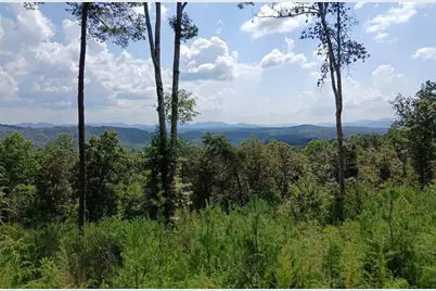 Lot 23 Mountain Laurel Ridge, Mineral Bluff, GA 30559 - Photo 2