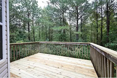 3745 Crowned Eagle Way, Douglasville, GA 30135 - Photo 38