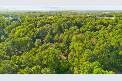225 Tallow Box Drive, Roswell, GA 30076 - Photo 50