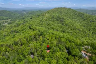 305 Martin Crossing, Cherry Log, GA 30522 - Photo 38