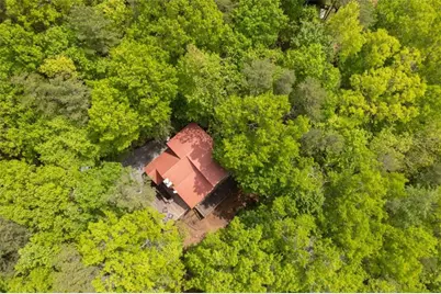 305 Martin Crossing, Cherry Log, GA 30522 - Photo 36